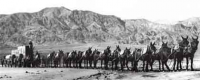 20_Mule_Team_in_Death_Valley.jpg