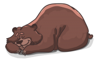 bear-2079672_1280.png