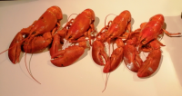 homards.jpg