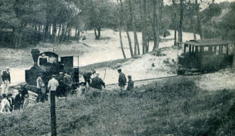 80 - Fort-Mahon Plage - Le Tramway aux Sapins.jpg