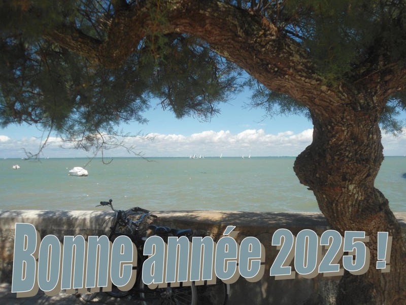 Bonne année 2025-1.jpg