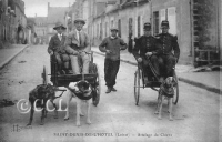 st-denis-de-lhotel-attelage-de-chiens-t.jpg